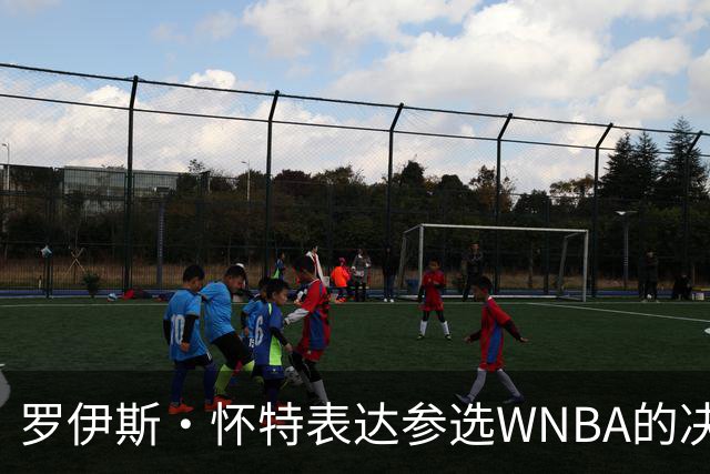 罗伊斯·怀特表达参选WNBA的决心，呼吁联盟明确政策